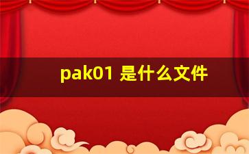 pak01 是什么文件